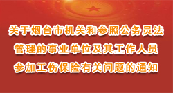 这里是第一场图片